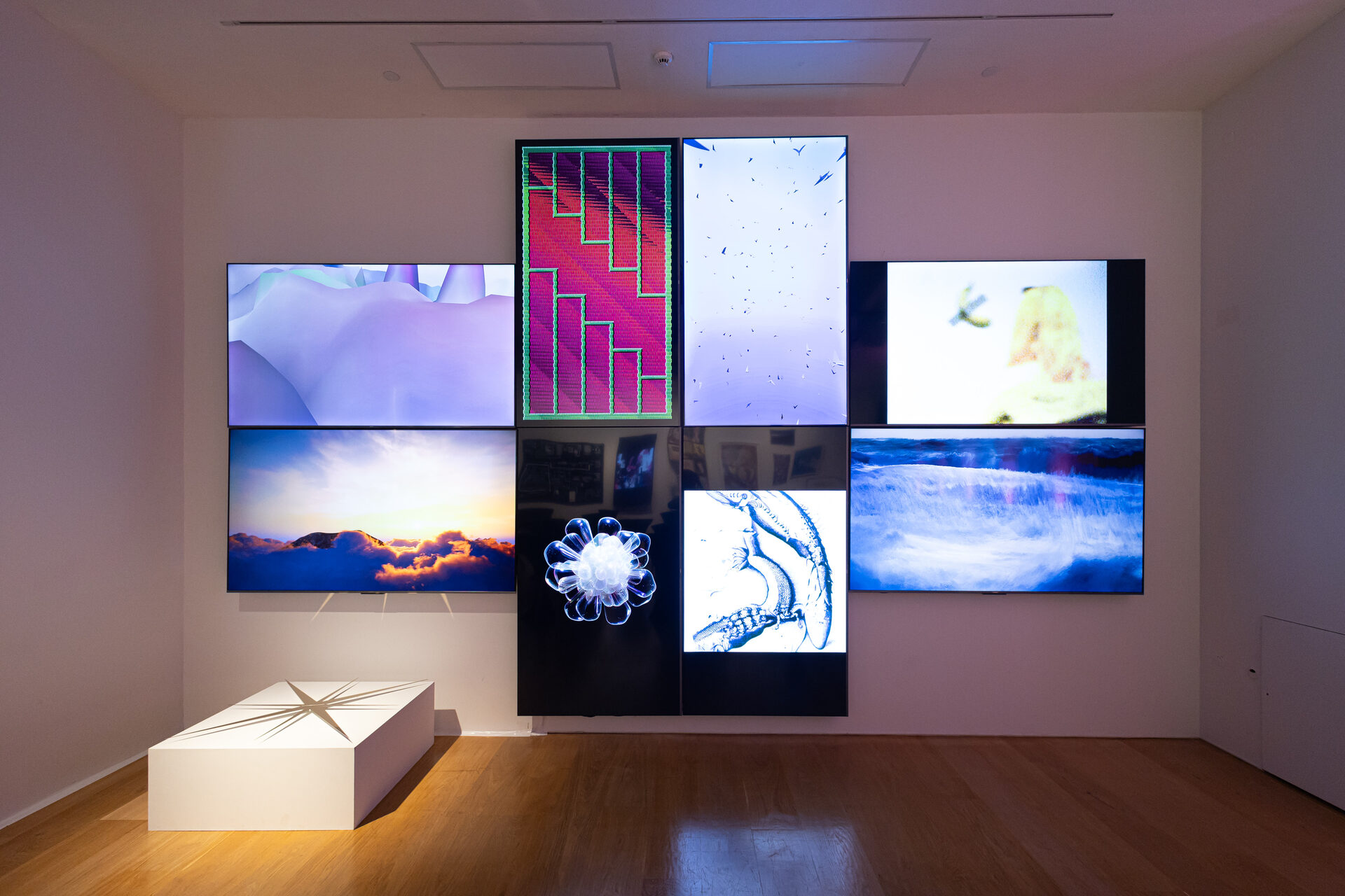 Birds Blade installation — HOFA Digital Art Awards 2026, Hong Kong